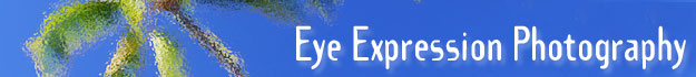Kona Photographers